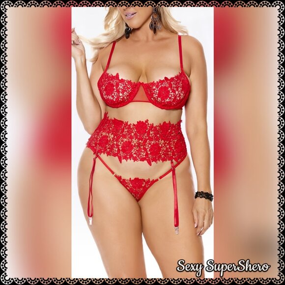 🆕❤️Ravish-Me-Red Embroidered Lace & Mesh Sexy 3 PC Lingerie Set w Waist Cincher - Picture 4 of 7